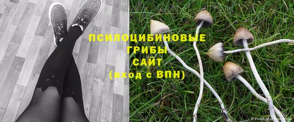 метадон Болохово