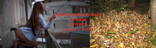 ALPHA PVP Новодвинск