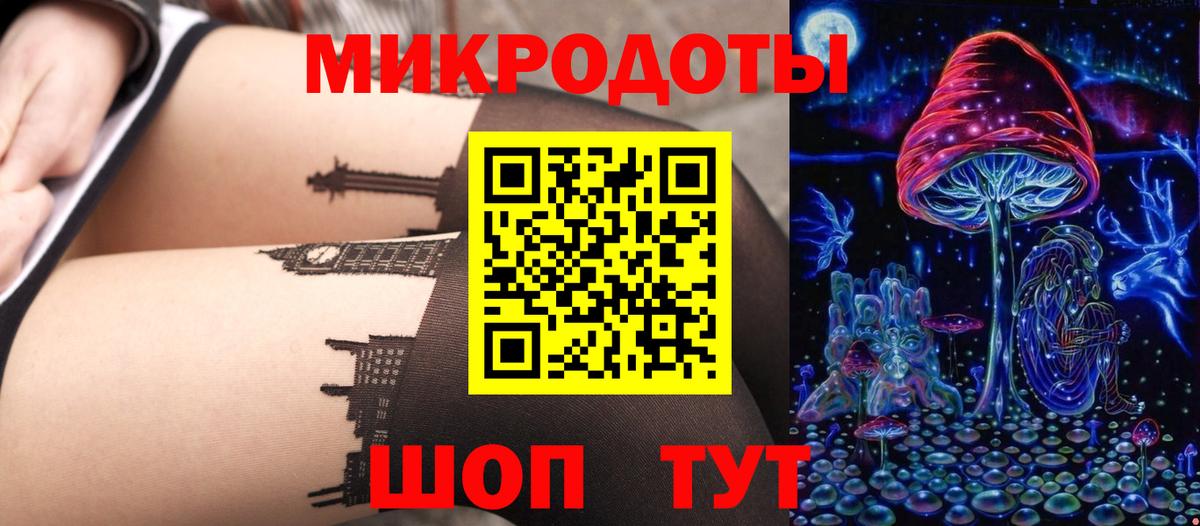 Псилоцибиновые грибы Psilocybe  Шумерля 