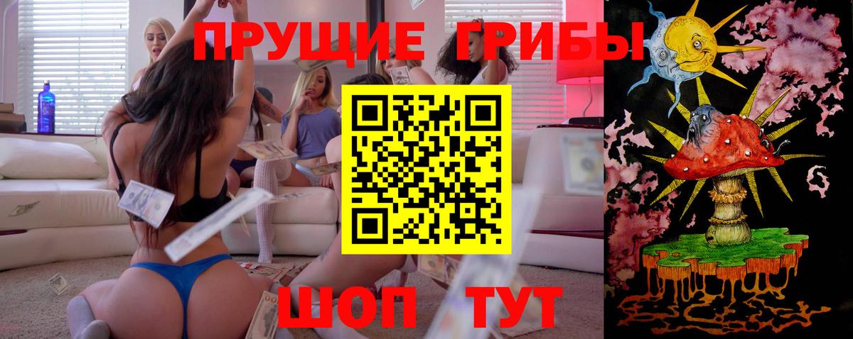 Псилоцибиновые грибы Cubensis Шумерля